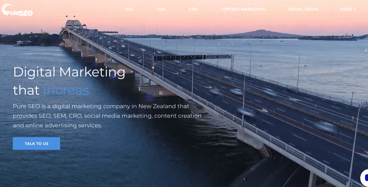 Pure SEO's Homepage