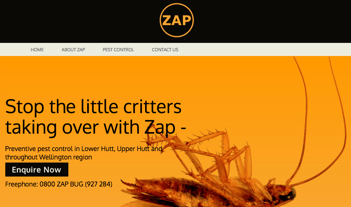Zap's Homepage