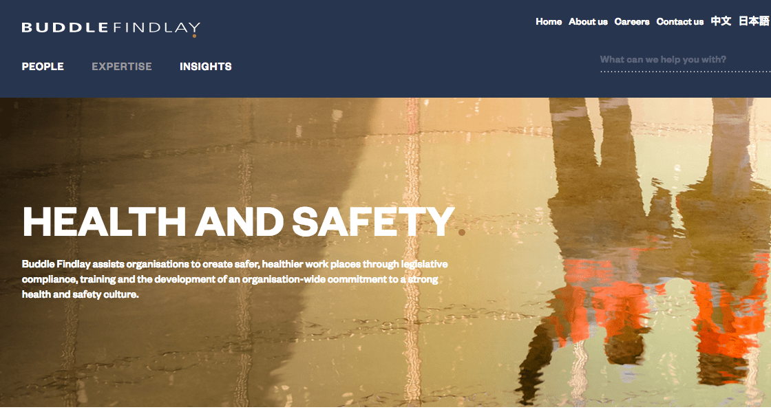 Buddle Findlay's Homepage