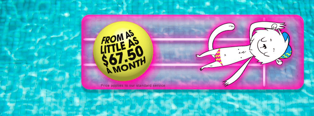 Pool Panthers' Homepage