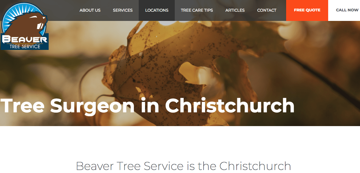 Beaver Tree Service's Homepage