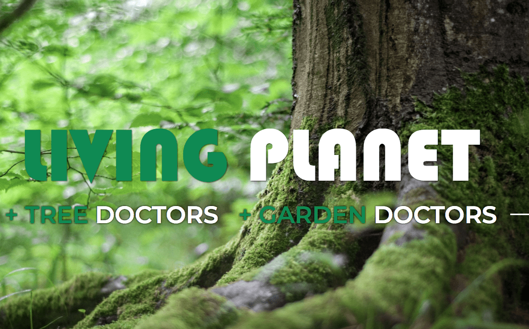 Living Planet's Homepage