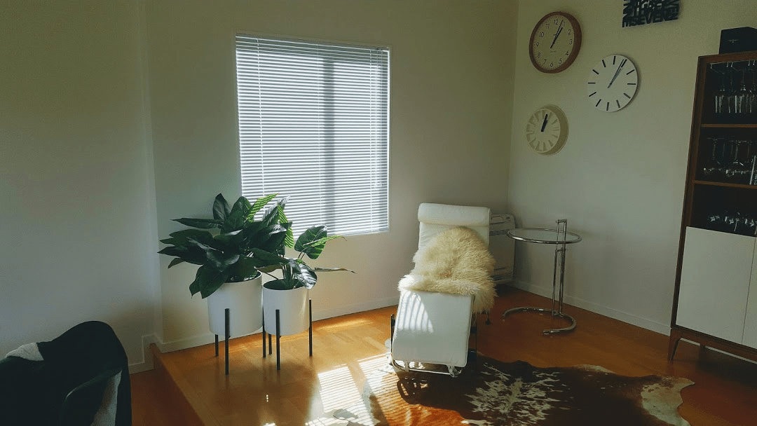 Shoestring Decor Blinds' Window Preview