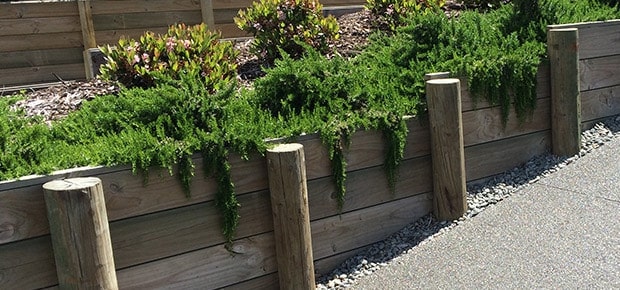 Yardscape's Wall Preview