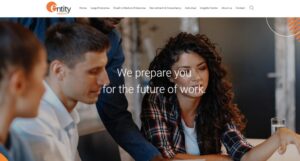 Entity Solutions' homepage