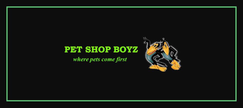 Pet Shop Boyz's Banner