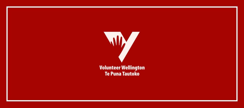 Volunteer Wellington's Banner