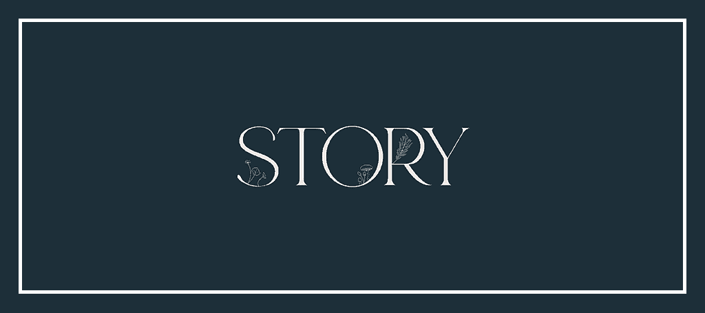 Story's Banner