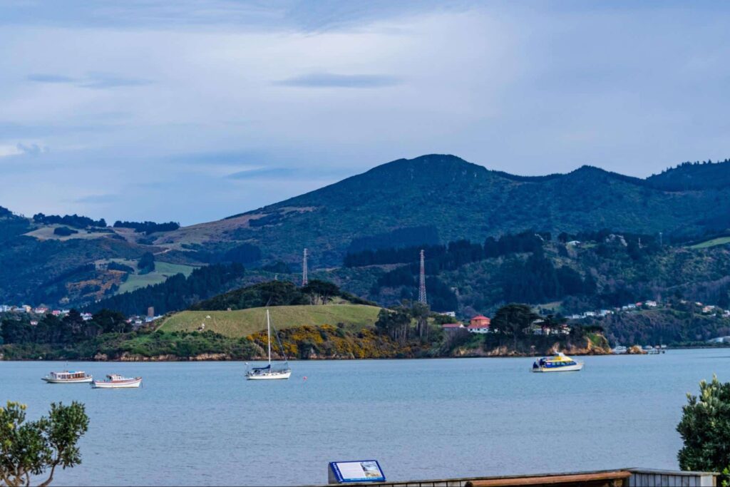 Dunedin