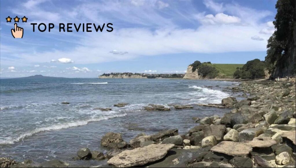 Long Bay-Okura Marine Reserve