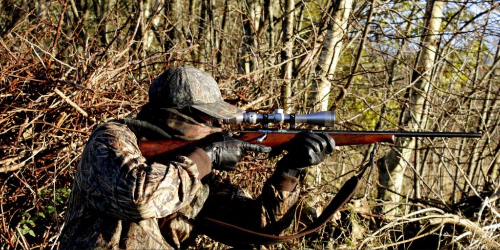 Determine the type of hunting permit you need