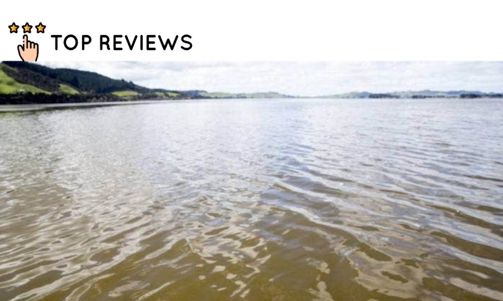What is the most polluted river in New Zealand