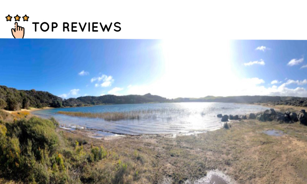 Why is the Waikare River so polluted
