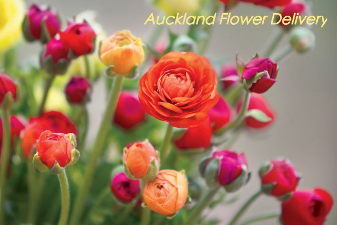 15 Best Flower Delivery Services In Auckland 2021