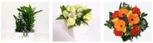 Roma Blooms Florist