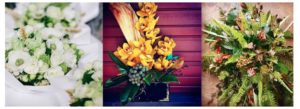 The Flower Studio