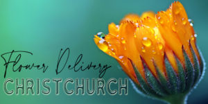 Best Flower Delivery Christchurch