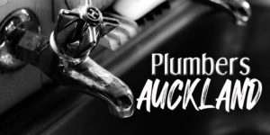 Best Plumber Services Auckland