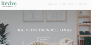 revive chiropractic's homepage