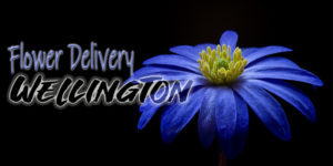 Best Flower Delivery Wellington