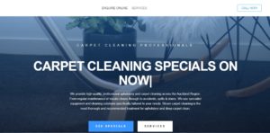 Steamsy Carpet Cleaning's homepage