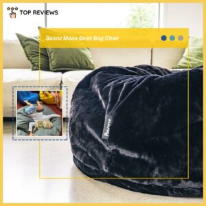 Beanz Moon Bean Bag Chair