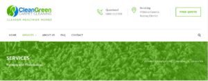 Clean Green Carpet Cleaning's homepage