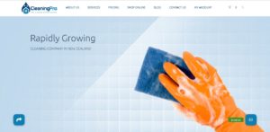 Cleaning Pro's homepage