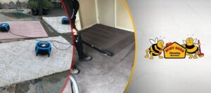 Christchurch Cleaning Services