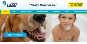 Laser Plumbing's homepage