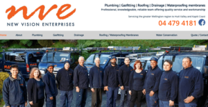 New Vision Enterprises' homepage