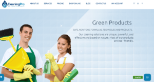 CleaningPro Auckland's Homepage