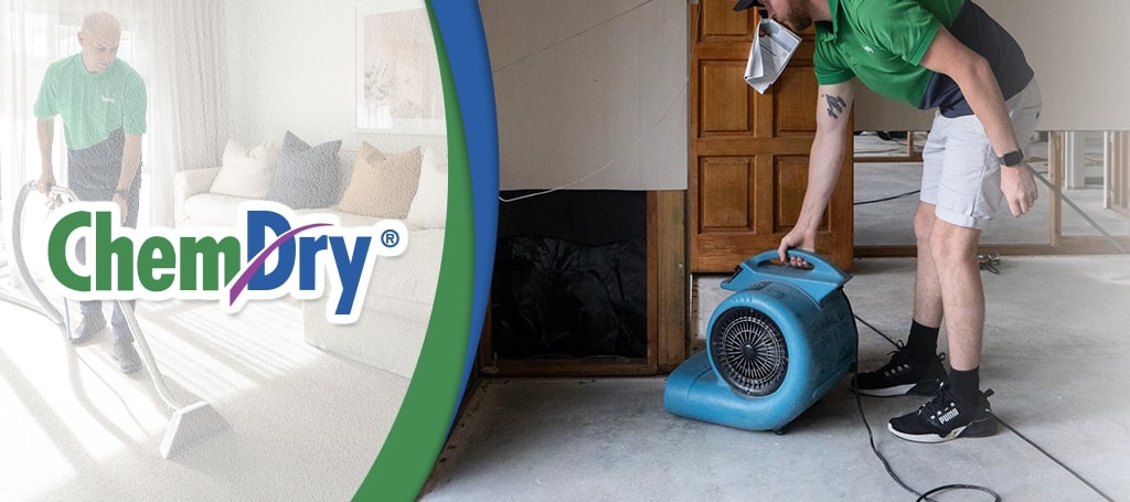 Chemdry Waikato