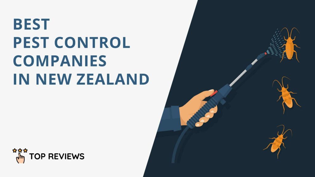 Best Pest Control Companies in New Zealand