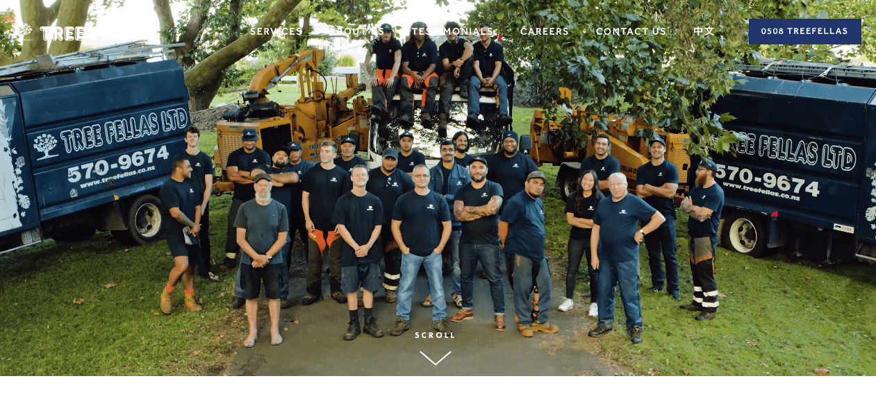 Tree Fellas' Homepage