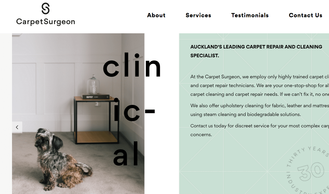 Carpet Surgeon's Homepage