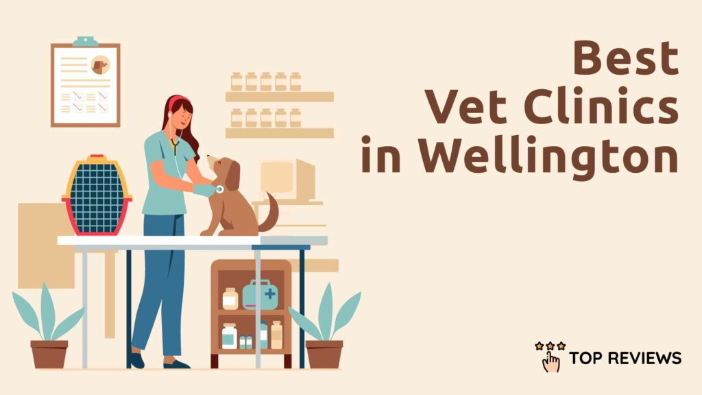 Best Vet Clinics in Wellington