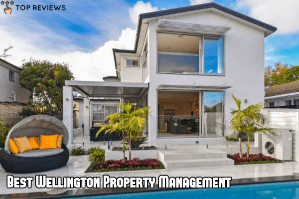 17+ 3d real estate management ltd info