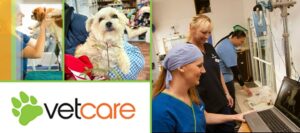 VetCare