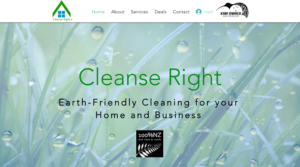 Cleanse Right's homepage