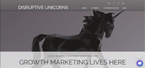 Disruptive Unicorn's homepage