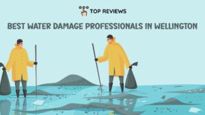 Best Water Damage Professionals in Wellington