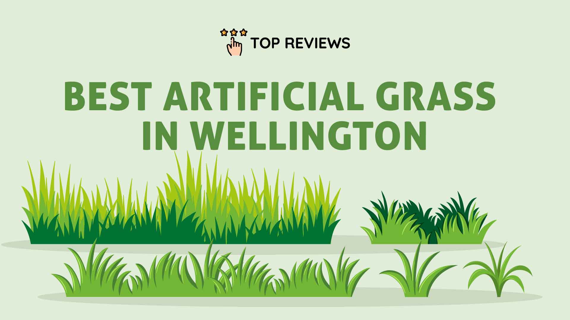 Best Artificial Grass in Wellington