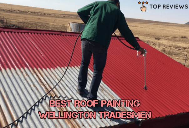 Best Roof Painting Wellington Tradesmen