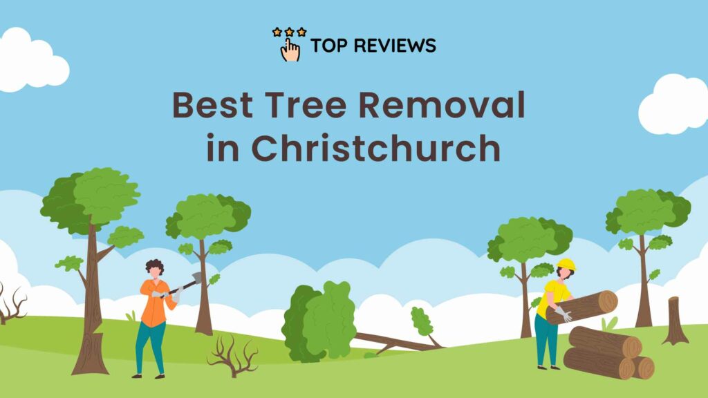 Best Tree Removal in Christchurch