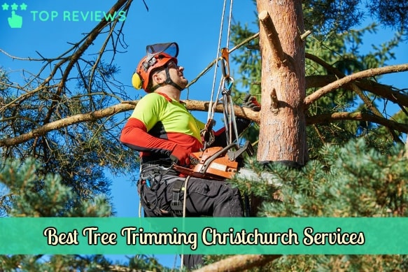 Best Tree Trimming Christchurch Services