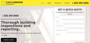 Castle Bridge Surveys' homepage