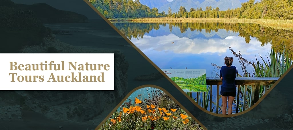 Beautiful Nature Tours Auckland