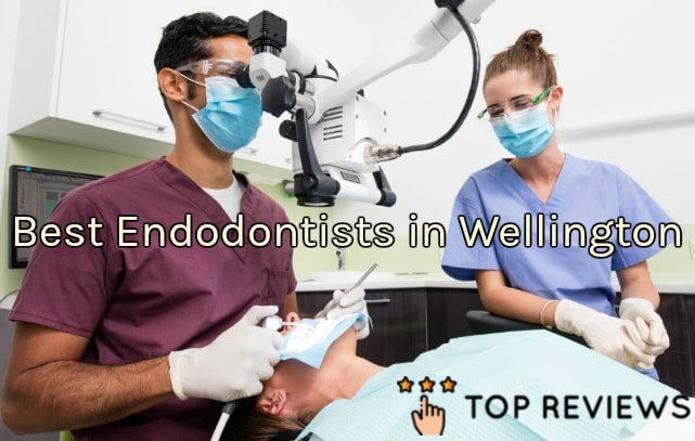 Best Endodontists in Wellington