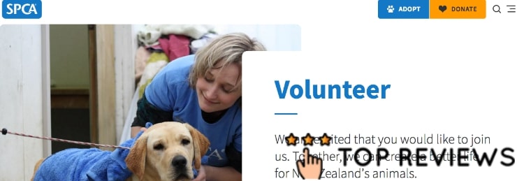 SPCA's Homepage